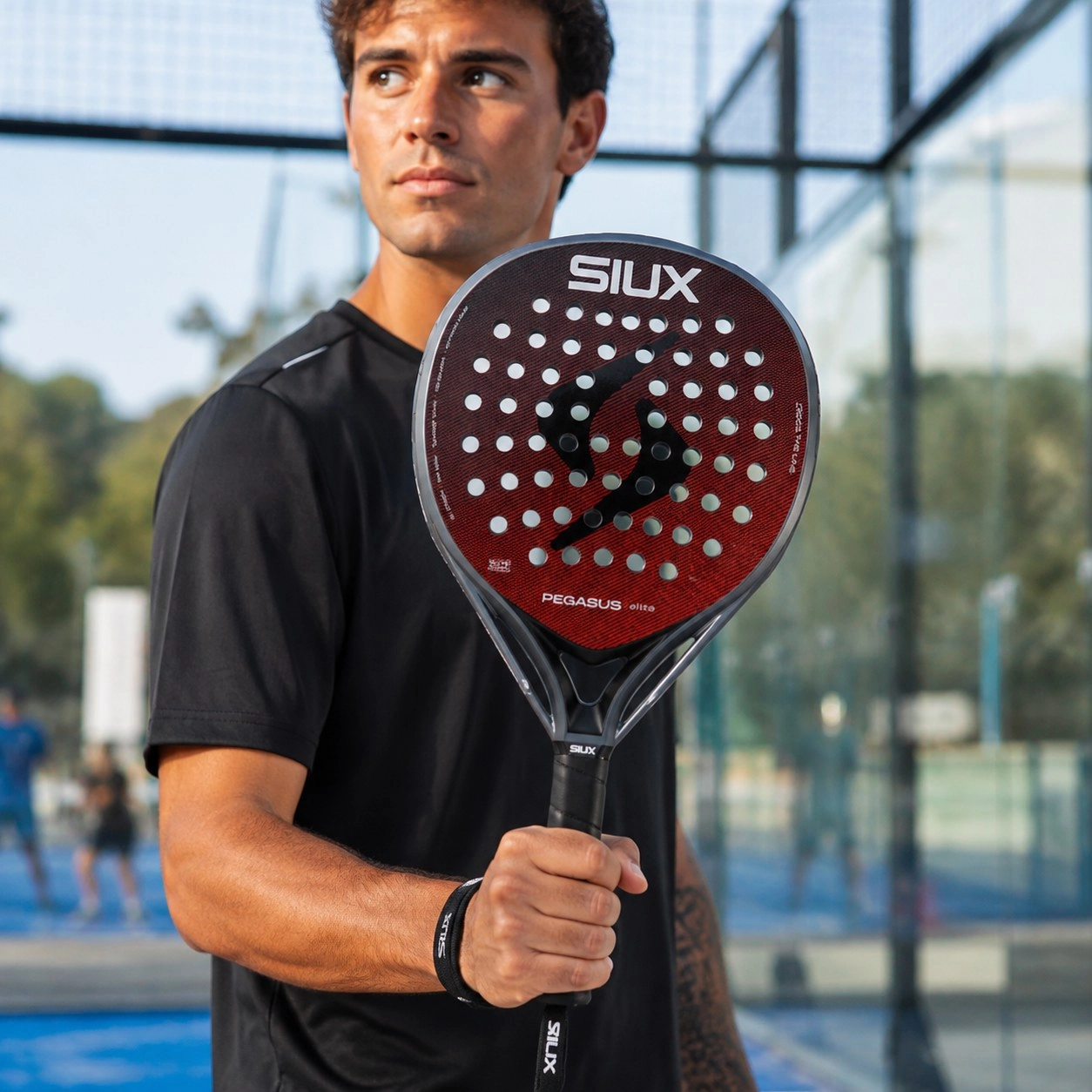 Siux Pegasus elite 4