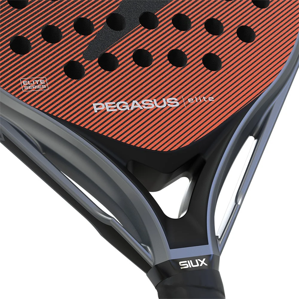 Siux Pegasus elite 4 — photo 5