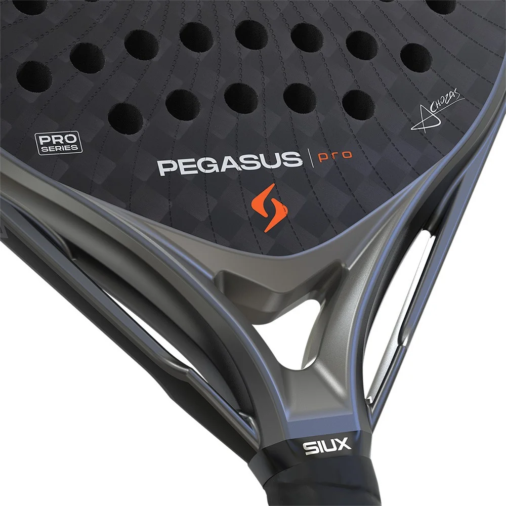 Siux Pegasus pro 2026 Storm Grey — photo 5